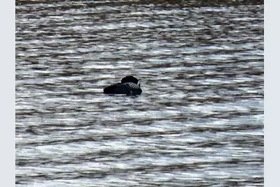 10 Goose River Estates, Swanville, ME 04915 - Photo 31