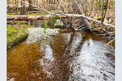 10 Goose River Estates, Swanville, ME 04915 - Photo 21