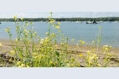 62 Harbor View Drive #62, Stockton Springs, ME 04981 - Photo 47