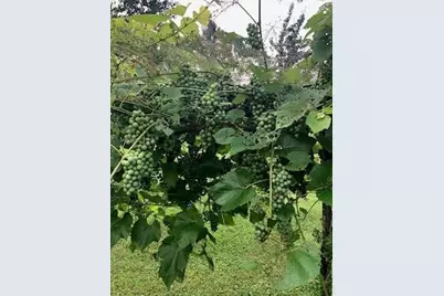 4 Abbi Lane, Scarborough, ME 04074 - Photo 19