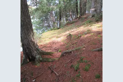 Map7 Lot57 Manhanock Pond, Sangerville, ME 04479 - Photo 11