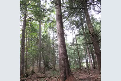 Map7 Lot57 Manhanock Pond, Sangerville, ME 04479 - Photo 9