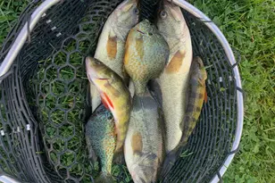 42 Fowler Rd, Orrington, ME 04474 - Photo 45