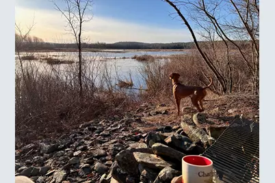 42 Fowler Road, Orrington, ME 04474 - Photo 43
