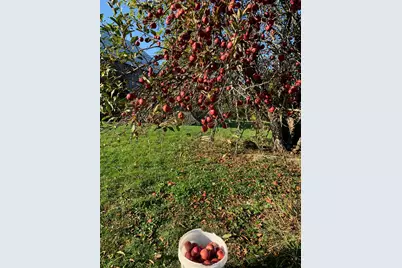 42 Fowler Road, Orrington, ME 04474 - Photo 47