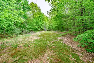 217 Chamberlain Rd, Brownfield, ME 04010 - Photo 107