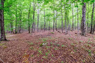 217 Chamberlain Rd, Brownfield, ME 04010 - Photo 131