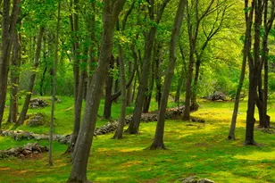 4 Ice House Point, York, ME 03909 - Photo 77