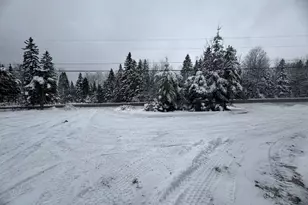 291 New Sweden Rd, New Sweden, ME 04762 - Photo 5