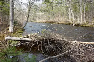 17 Kingsbury Rd, Wellington, ME 04942 - Photo 27