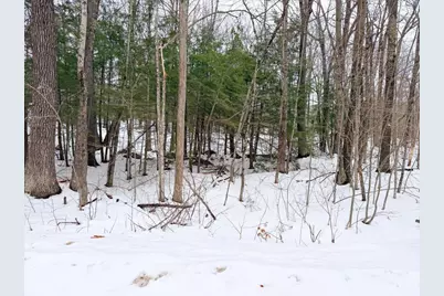 M10 L35 Plains Road, Poland, ME 04274 - Photo 7