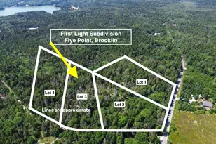 0 Flye Point, Brooklin, ME 04616 - Photo 1