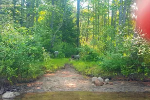 594 River Road Rd, Windham, ME 04062 - Photo 5