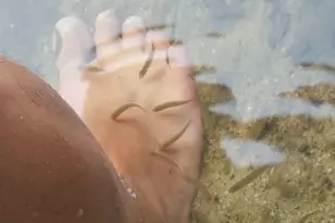 594 River Road Rd, Windham, ME 04062 - Photo 3