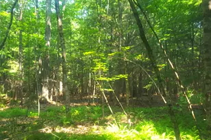 594 River Road Rd, Windham, ME 04062 - Photo 39