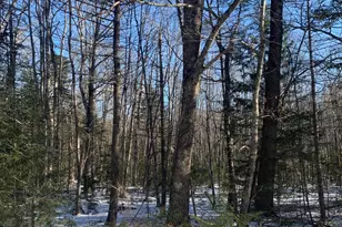 3 Airika-B Dr, Lincolnville, ME 04849 - Photo 1