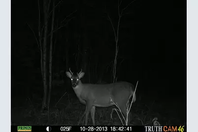 Lot #3 Pleine Road, Saint Agatha, ME 04772 - Photo 27