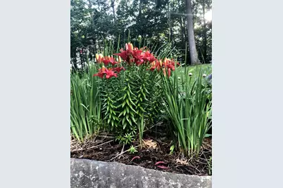 125 Ridgeview Drive, Veazie, ME 04401 - Photo 47