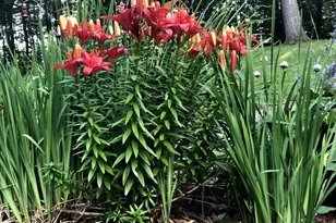 125 Ridgeview Dr, Veazie, ME 04401 - Photo 47