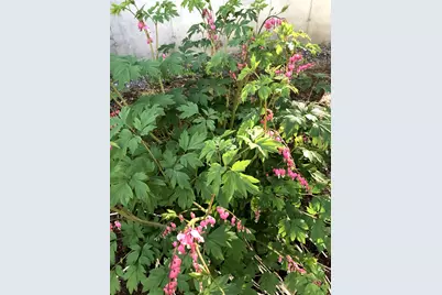 125 Ridgeview Drive, Veazie, ME 04401 - Photo 55