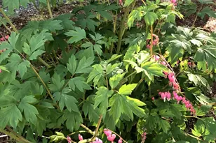 125 Ridgeview Dr, Veazie, ME 04401 - Photo 45