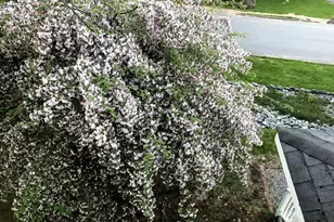 125 Ridgeview Dr, Veazie, ME 04401 - Photo 53