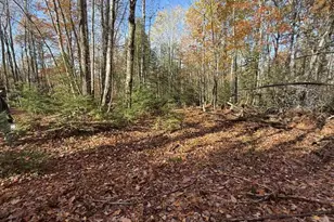 Lot 006 Ramsdell Rd, Farmington, ME 04938 - Photo 1