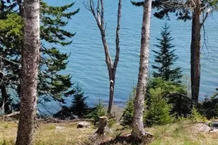 63 N Duck Cove Rd, Roque Bluffs, ME 04654 - Photo 25