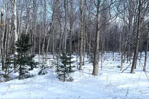 47 Greenville Rd, Shirley, ME 04485 - Photo 1