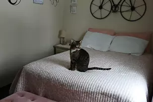 94 Summer St, Auburn, ME 04210 - Photo 9