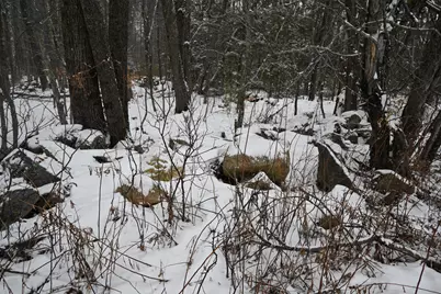 20 Copper Ridge Road, Greene, ME 04236 - Photo 11