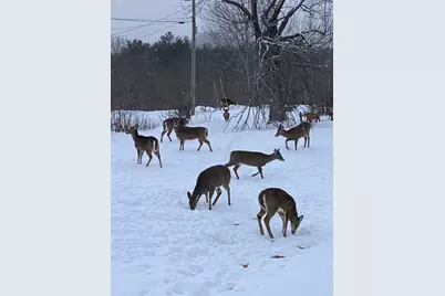 40 Pine Street, Dixfield, ME 04224 - Photo 53