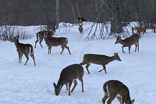 40 Pine St, Dixfield, ME 04224 - Photo 53