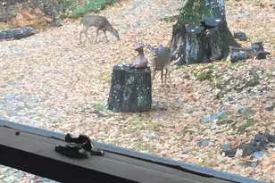 41 Thomas Rd, Monson, ME 04464 - Photo 37