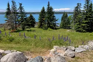 613 Yoho Head Rd, Machiasport, ME 04655 - Photo 65