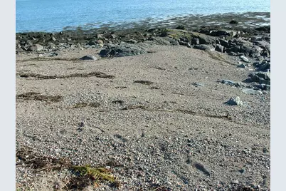 613 Yoho Head Road, Machiasport, ME 04655 - Photo 73