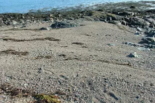 613 Yoho Head Rd, Machiasport, ME 04655 - Photo 73