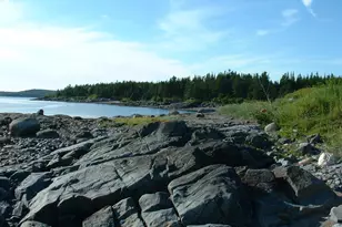 613 Yoho Head Rd, Machiasport, ME 04655 - Photo 75