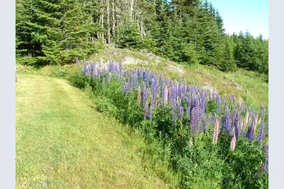 613 Yoho Head Road, Machiasport, ME 04655 - Photo 67