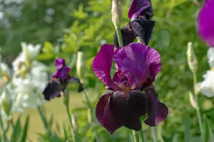 274 Front St, Richmond, ME 04357 - Photo 97