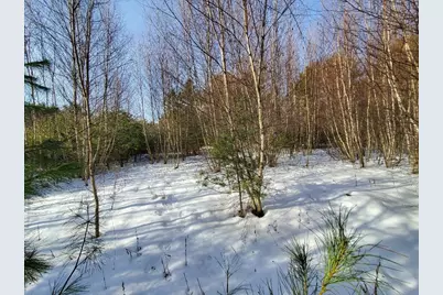 999 Main Road, Eddington, ME 04428 - Photo 61