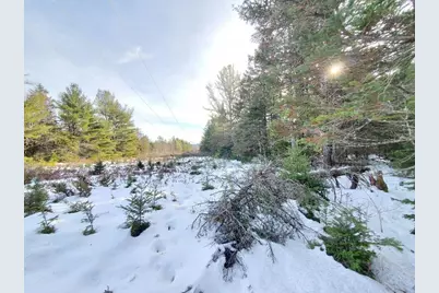 999 Main Road, Eddington, ME 04428 - Photo 67