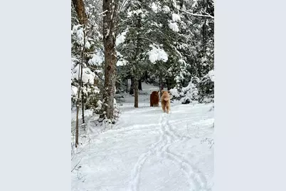 252 Ox Cove Road, Pembroke, ME 04666 - Photo 53