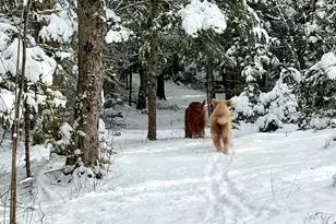 252 Ox Cove Rd, Pembroke, ME 04666 - Photo 53