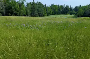 252 Ox Cove Rd, Pembroke, ME 04666 - Photo 65