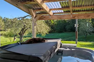 252 Ox Cove Rd, Pembroke, ME 04666 - Photo 11