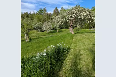 252 Ox Cove Road, Pembroke, ME 04666 - Photo 15