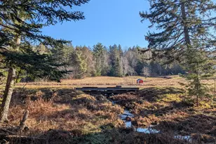 252 Ox Cove Rd, Pembroke, ME 04666 - Photo 67