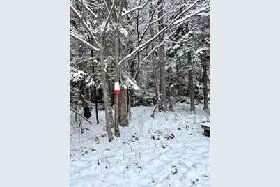 252 Ox Cove Road, Pembroke, ME 04666 - Photo 55