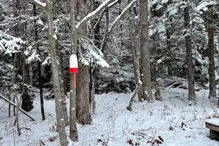 252 Ox Cove Rd, Pembroke, ME 04666 - Photo 55